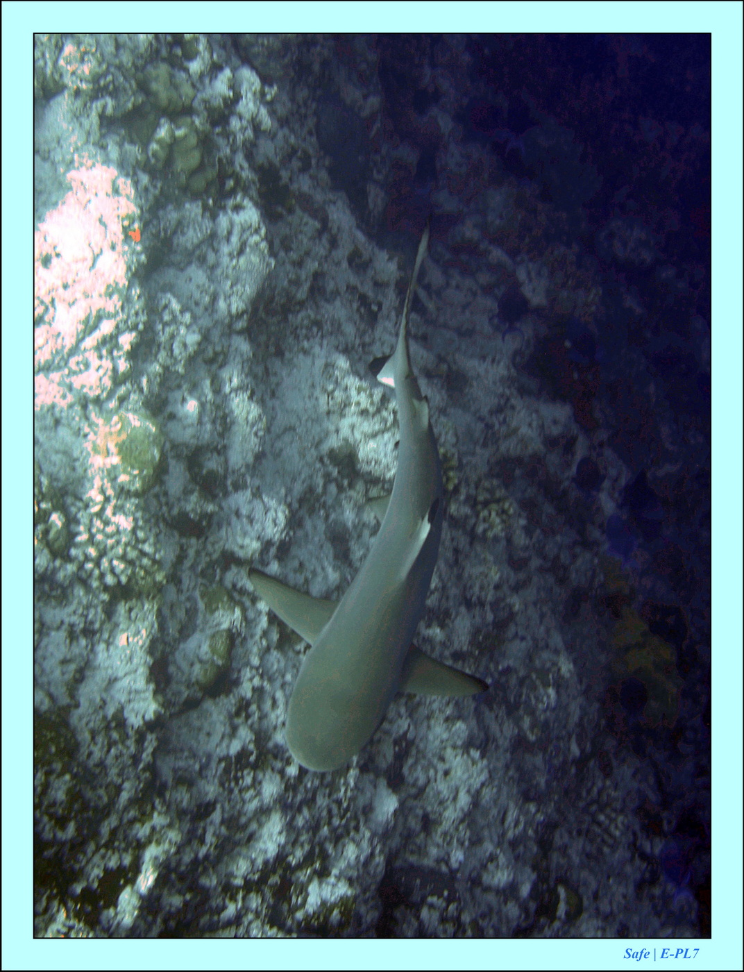 2023 - 07 - Sandies Bathala - 141